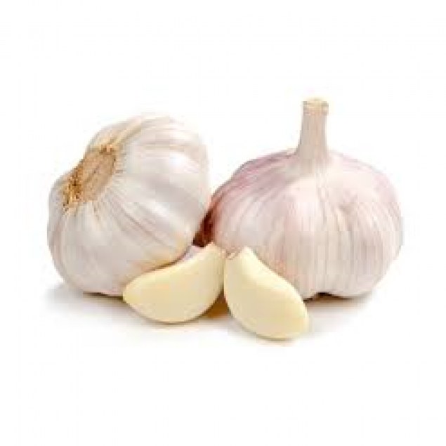 Garlic Australian Premium Each