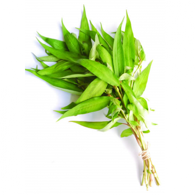 Herb Mint Vietnamese Bunch