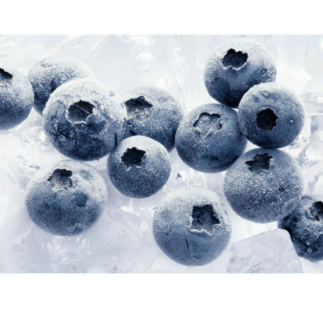 Frozen Blueberry Kg
