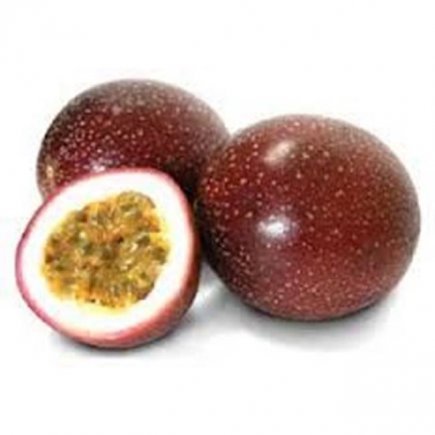 Passionfruit Panama Each