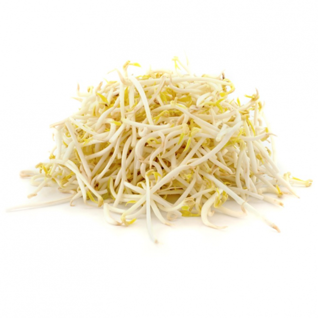 Bean Sprout Pack