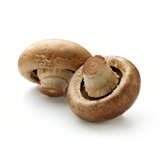 Mushroom Swiss Brown Punnet