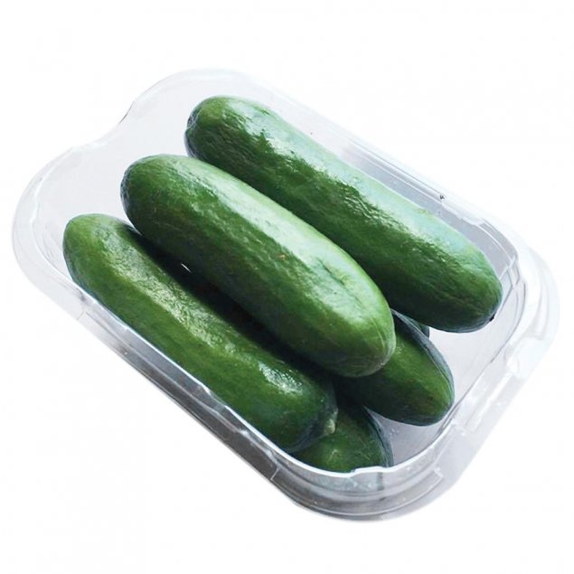 Cucumber Baby 250g Pack