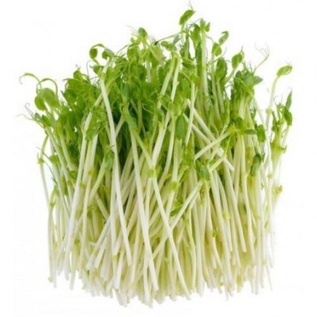 Herb Snow Pea Sprouts 160g Punnet
