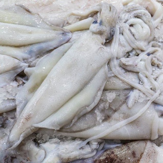 Calamari Southern Cleaned 1kg